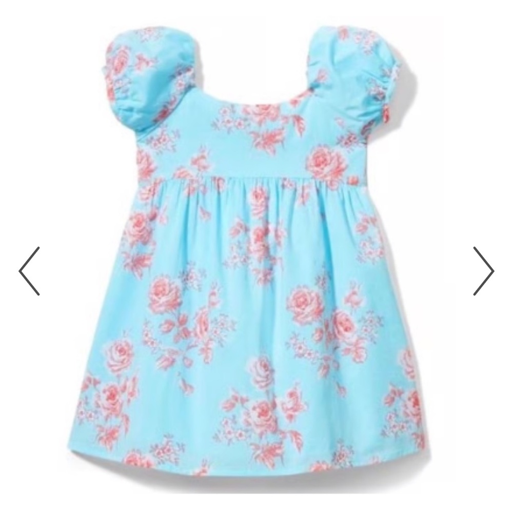 Janie and Jack Blue Floral Puff-Sleeve Dress